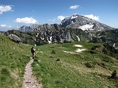 Salita al Laghetto di Pietra Quadra (2100 m. circa ) e al nuovo Rifugio Tre Pizzi-Pietra Quadra (2012 m) - FOTOGALLERY